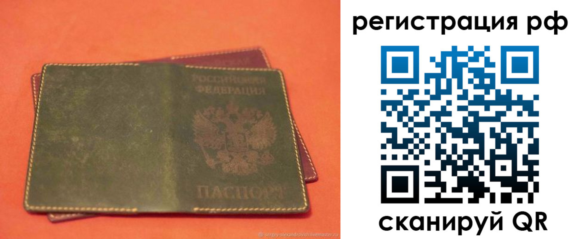 прописка 2025 в Волгоградской области